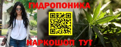 прущие крисы Кинель