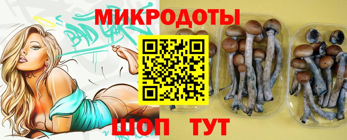 Псилоцибиновые грибы прущие грибы  Вход с VPN  Котельники 